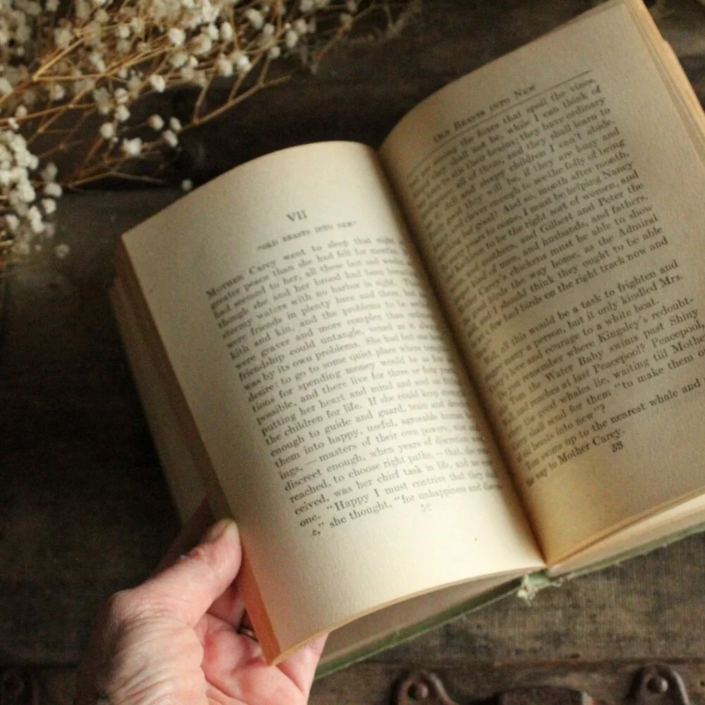 Vintage Antique 1910s Book, "Mother Carey's Chickens", by Kate Douglas Wiggin, - Picture 15 of 16